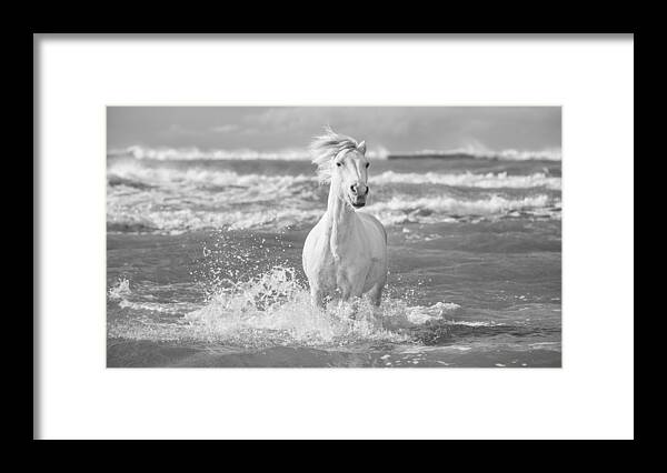 Horse Framed Print featuring the photograph Run White Horses I by Tim Booth