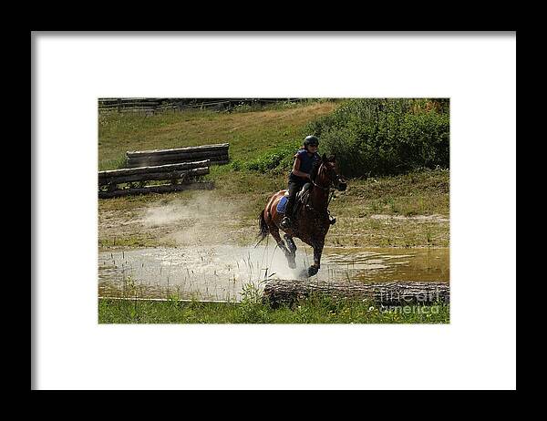 Horse Framed Print featuring the photograph Running Thru Water by Janice Byer