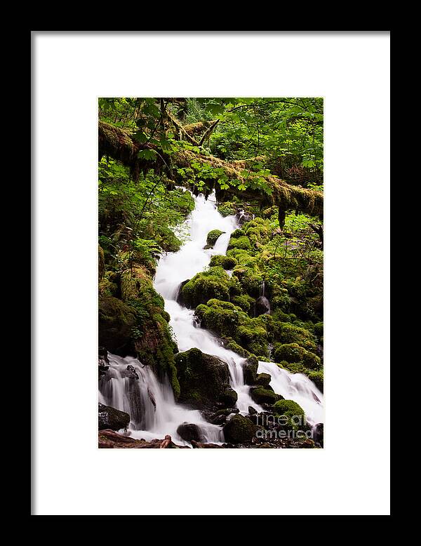 Wahkeena Framed Print featuring the photograph Running Wild by Suzanne Luft