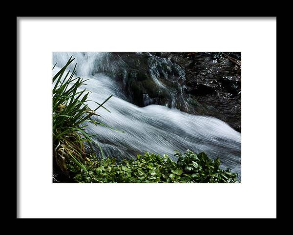 Rush Framed Print featuring the photograph Rushing Stream by Kelly Smith