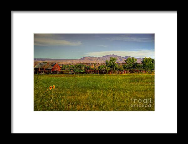 Cow Corall Framed Print featuring the photograph Rustic Ranch by Kelly Wade