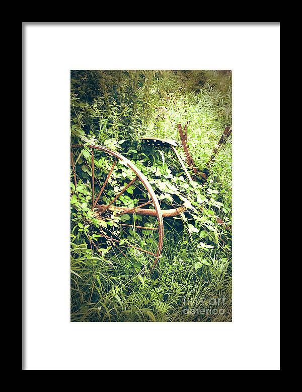 Farm Framed Print featuring the photograph Rusty antique machinery by Perry Van Munster