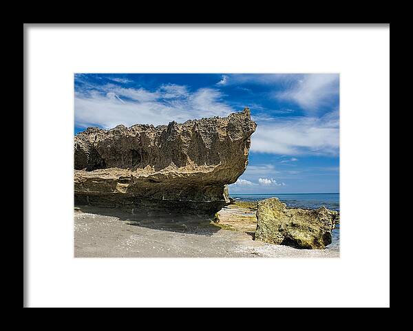 Sabellariid Framed Print featuring the photograph Sabellariid Worms Reef by Rudy Umans