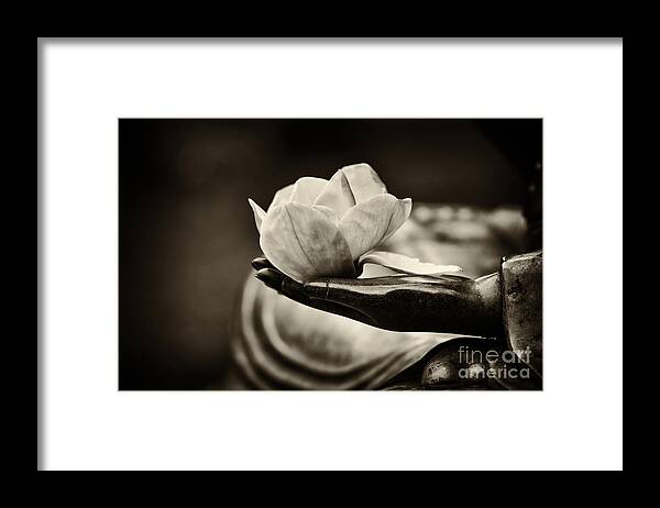 Buddha Framed Print featuring the photograph Sacred Hand by Tim Gainey