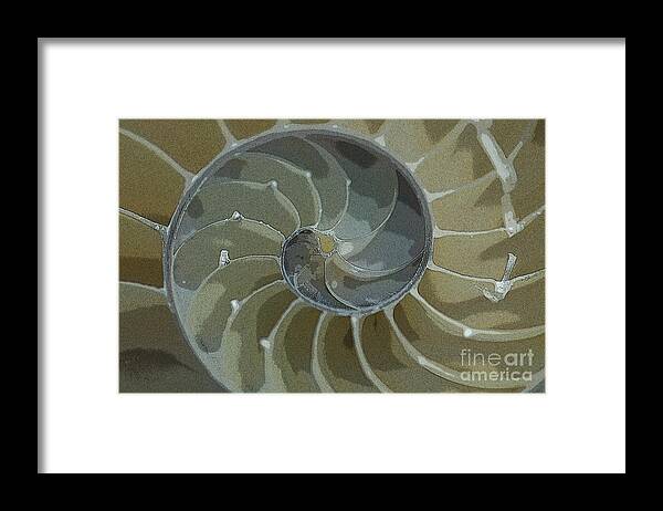 Sacred Spiral Framed Print featuring the photograph Sacred Spiral 6 by Jeanette French