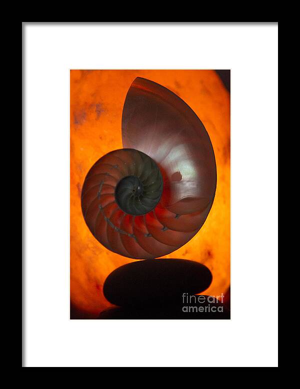 Spiral Framed Print featuring the photograph Sacred Spiral by Jeanette French