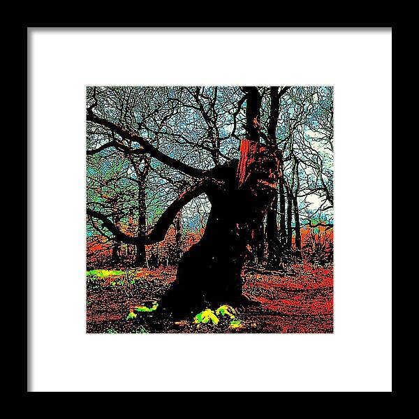 Beautiful Framed Print featuring the photograph Sad Strolling Tree Troll by Urbane Alien