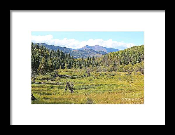 Saddle Mountain Framed Print featuring the photograph Saddle Mountain by Ann E Robson