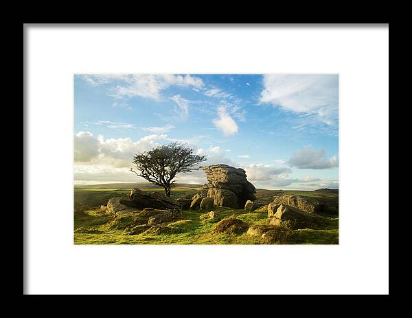 Scenics Framed Print featuring the photograph Saddle Tor Tree by Milsters Images