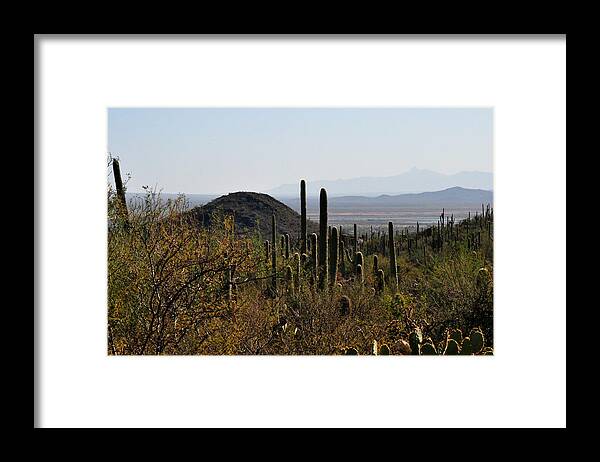 Mountain Photography Framed Print featuring the photograph Saguaro Cactus and Valley by Diane Lent