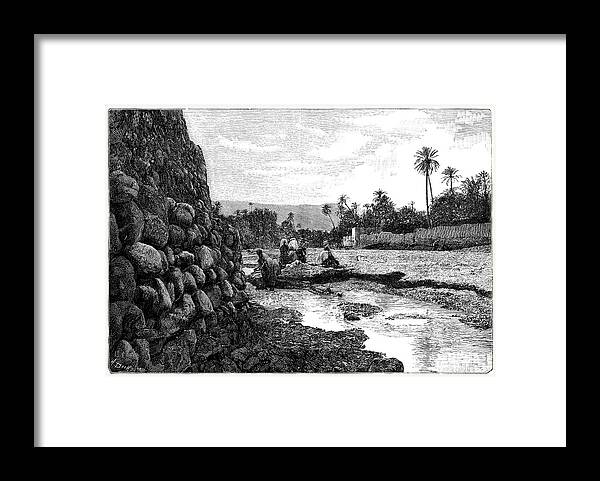 Human Framed Print featuring the photograph Saharan Oasis by Science Photo Library