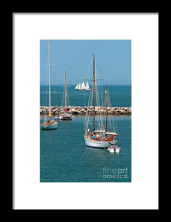 Sailboat Framed Print featuring the photograph Sailing Away by Michelle Constantine