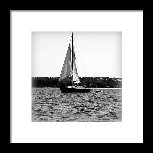 Sunrise Framed Print featuring the photograph Sailing The Bay by Debra Forand