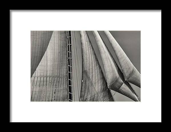 Sails Framed Print featuring the photograph Sails by Fred LeBlanc