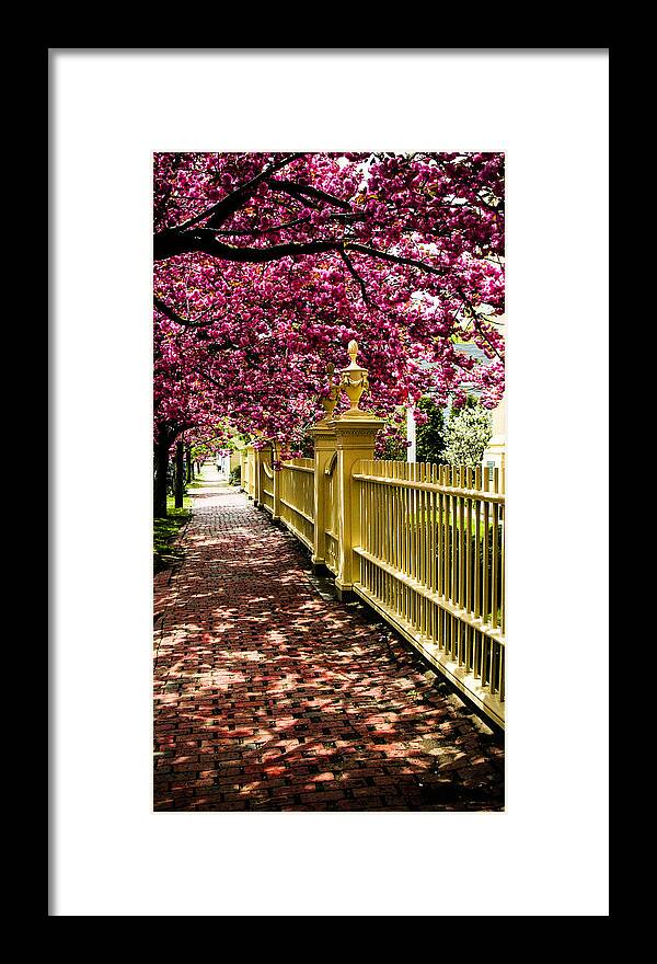Salem Framed Print featuring the photograph Salem walkway shrouded by spring flowers by Jeff Folger