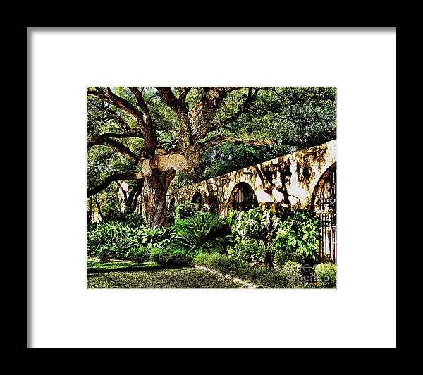 Landscape Framed Print featuring the photograph San Antonio D by Ken Frischkorn