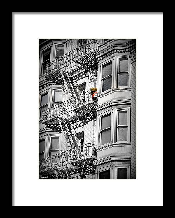 Monochrome Framed Print featuring the photograph San Francisco Raised Garden by Rebecca Samler