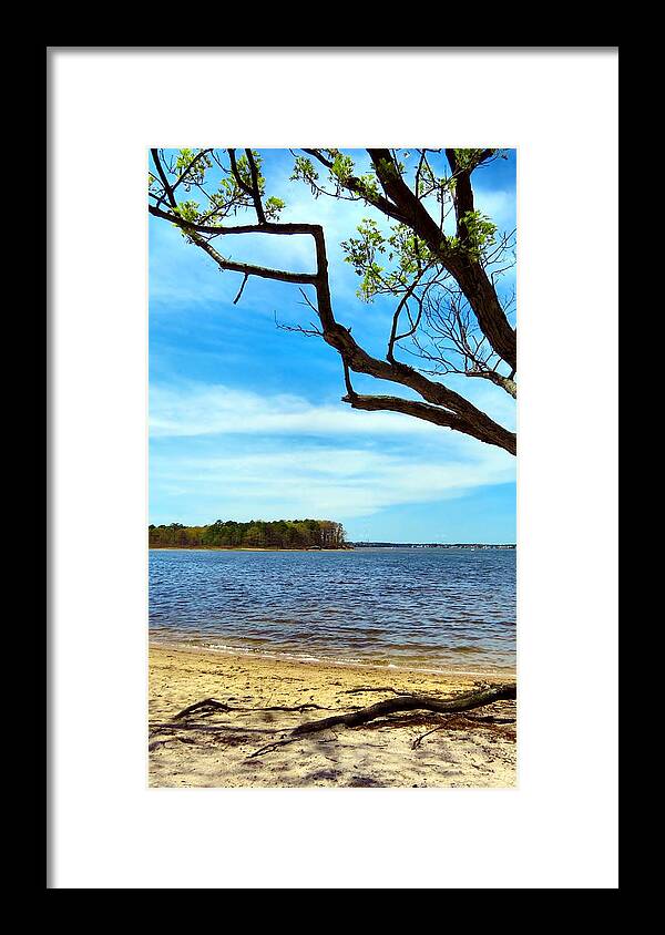 Bird Framed Print featuring the photograph Sand Between My Toes by Art Dingo