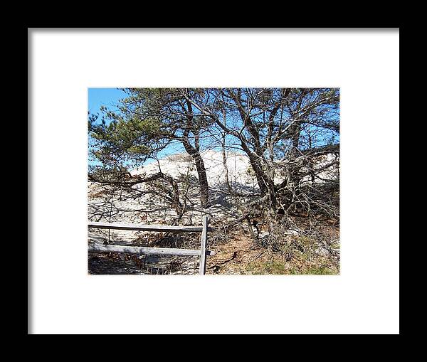 Cranes Beach Framed Print featuring the photograph Sand Dune With Trees by Catherine Gagne