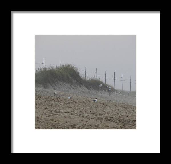 Seagull Framed Print featuring the photograph Sand Dunes and Seagulls by Cathy Lindsey