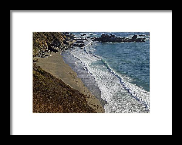 California Framed Print featuring the photograph Sanderlings at Big Sur by Rod Jones