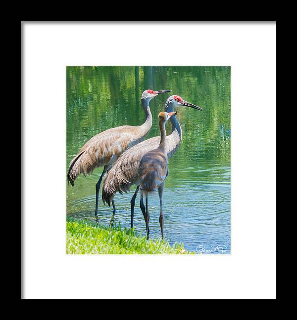 susan Molnar Framed Print featuring the photograph Mom Look What I Caught by Susan Molnar