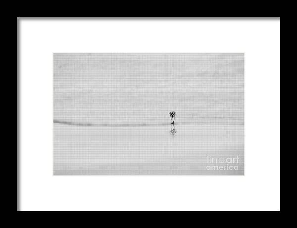 Bird Framed Print featuring the photograph Sandpiper following wave up the beach by Dan Friend