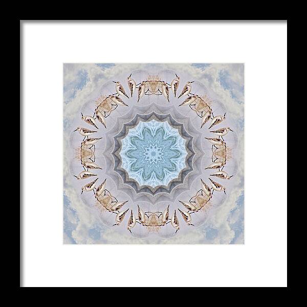 Sand Piper Framed Print featuring the photograph Sandpiper Mandala by Beth Venner