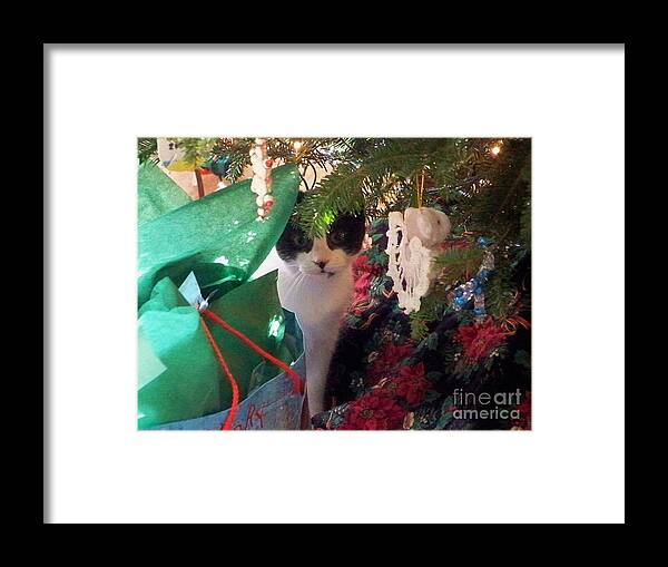 Cat Framed Print featuring the photograph Santa Bring Tuna by Chuck Hicks