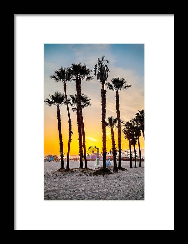 Los Angeles Framed Print featuring the photograph Santa Monica Palms by Az Jackson