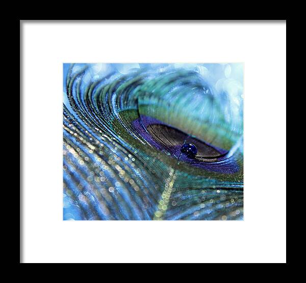 Peacock Feather Framed Print featuring the photograph Saphire Blues by Krissy Katsimbras