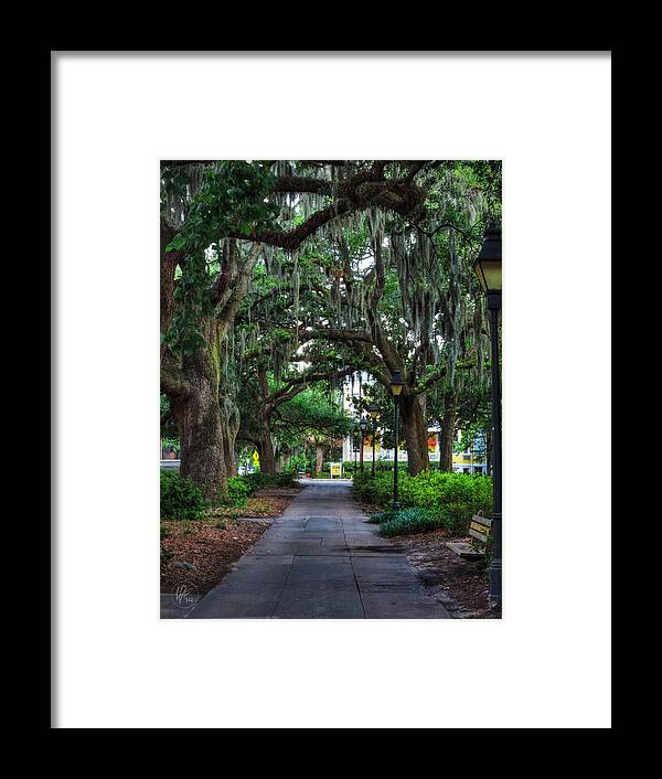 Forsyth Park Framed Print featuring the photograph Savannah - Forsyth Park 001 by Lance Vaughn