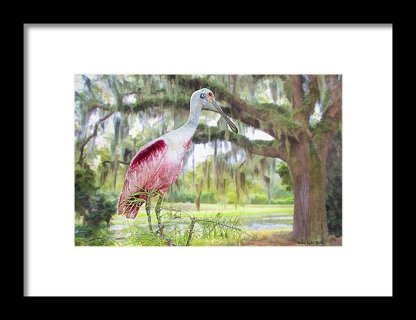 Roseate Spoonbill Framed Print featuring the photograph Scene from the Deep South by Bonnie Barry