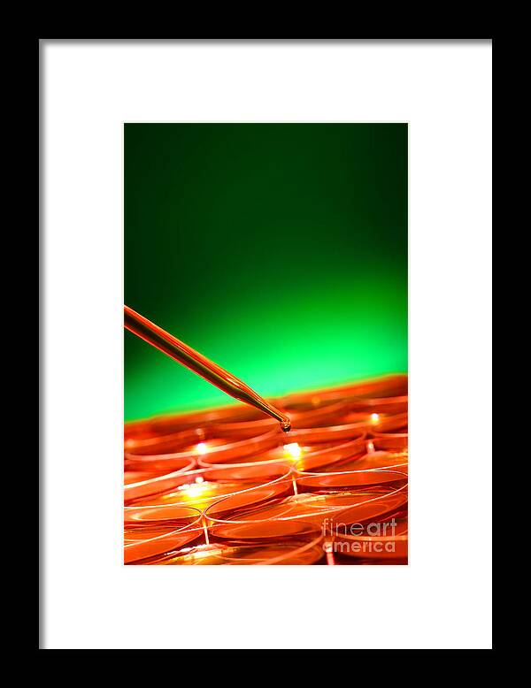 Petri Framed Print featuring the photograph Scientific Experiment in Science Research Lab by Olivier Le Queinec