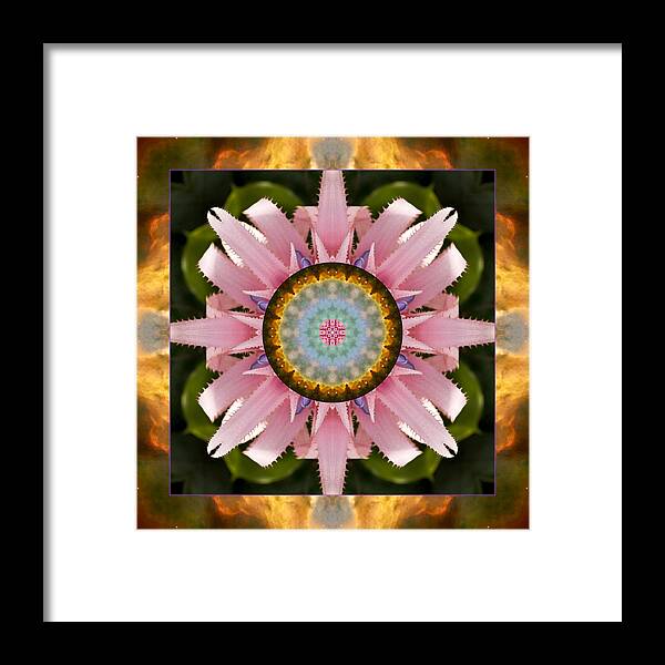 Yoga Art Framed Print featuring the photograph Scintillation by Bell And Todd