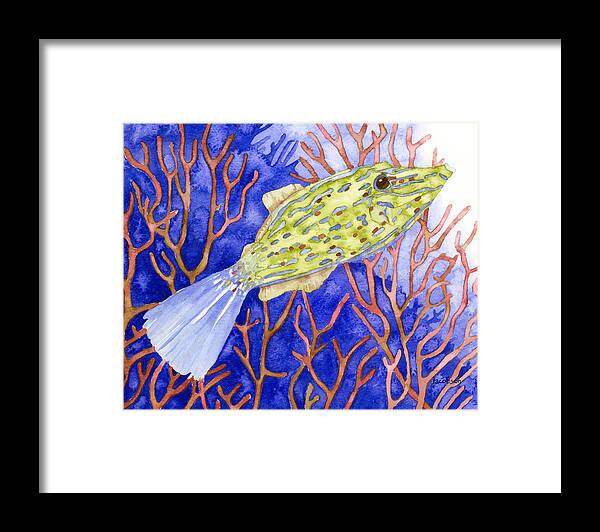 Filefish Framed Print featuring the painting Scrawled Filefish by Pauline Walsh Jacobson