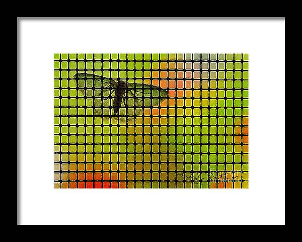Moth Framed Print featuring the digital art Screened Moth by Art Mantia