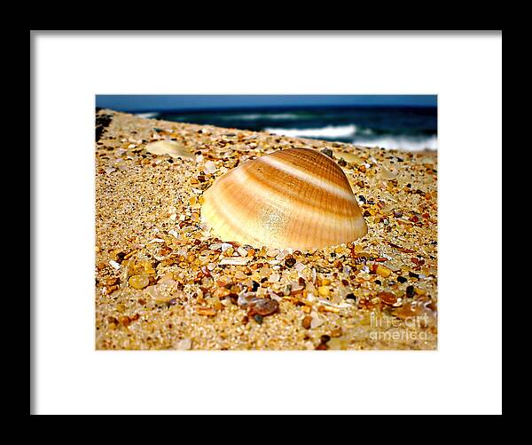 Photography Framed Print featuring the photograph Sea beyond the Shell by Kaye Menner