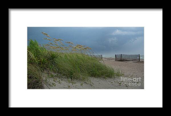 Cenic Tours Framed Print featuring the photograph Sea Oats At Edisto by Skip Willits