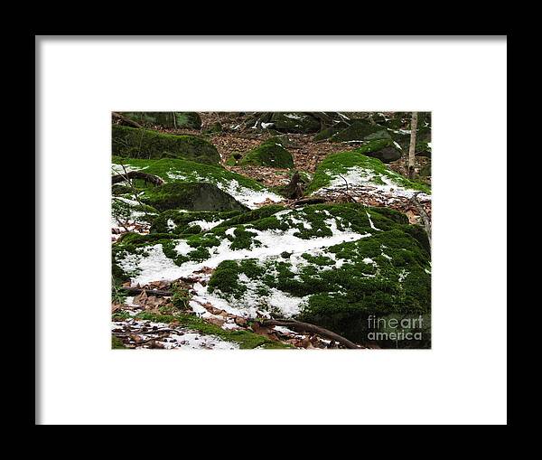 Tinker's Creek Framed Print featuring the photograph Sea of Green by Michael Krek