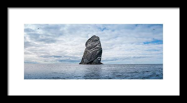 Scenics Framed Print featuring the photograph Sea Stacks Bird Colonies Dramatic by Fotovoyager
