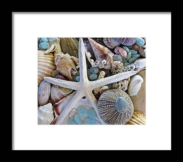Seashells Framed Print featuring the photograph Sea Treasure by Colleen Kammerer