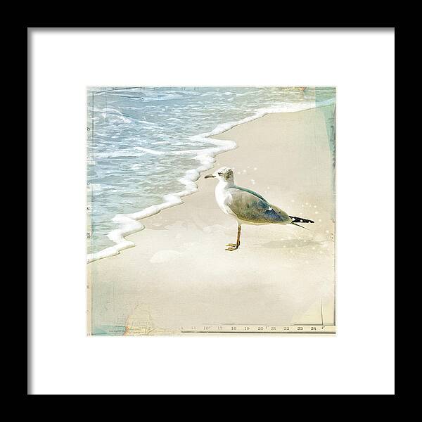 Seagull Framed Print featuring the photograph Marco Island Seagull by Karen Lynch