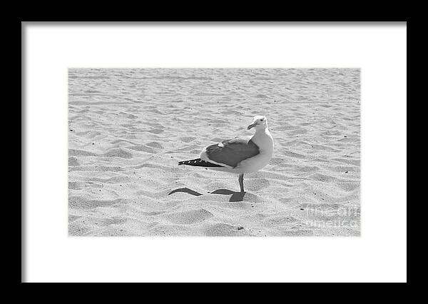 Seagull Framed Print featuring the photograph Seagull polka-dot by Nora Boghossian