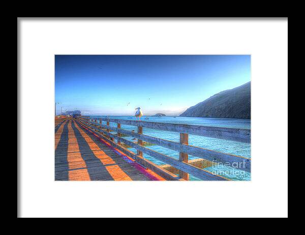 Seagulls Framed Print featuring the photograph Seagulls and Ocean by Mathias 