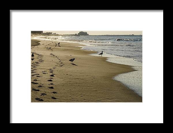 Rockaway Framed Print featuring the photograph Seagulls Early Morning Rockaway Beach by Maureen E Ritter