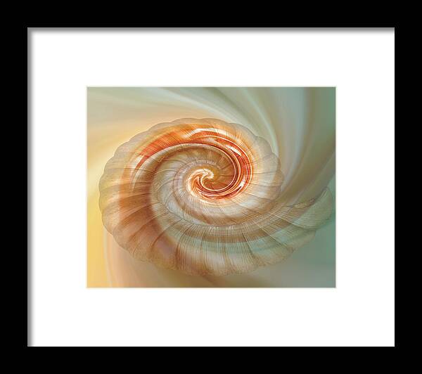 Seashell Framed Print featuring the digital art Seashell Swirl by Nina Bradica