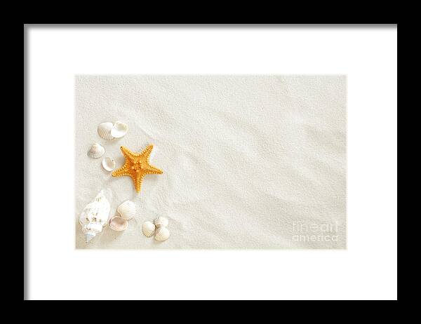 Seashells Framed Print featuring the photograph Seashells by Boon Mee