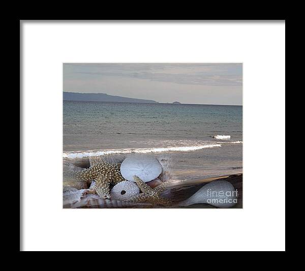 Seashells Framed Print featuring the photograph Seashells on the Beach by Yumi Johnson