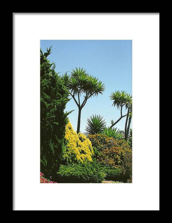 Garden Framed Print featuring the photograph Seaside Garden by Dody Rogers